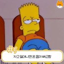 내몸밸런스 Daum카페