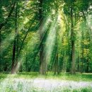 세계로간호학원 이미지