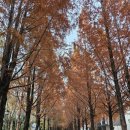 남강숯불갈비 이미지