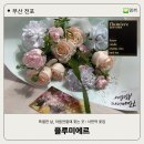 11월 원예: 빼빼로 드라이플라워와 꽃케이크 | [서면 가성비 꽃집] 특별한날 마음전할때, 꽃다발 선물이 필요할땐 플루미에르! 꽃다발 제작 주문후기
