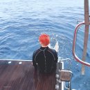 빨강머리 이미지