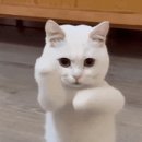 목화식육식당