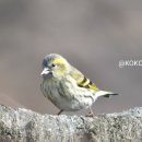 아름다운 머리방 이미지