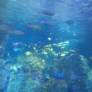 연어의추억 이미지