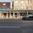 싱싱청과 이미지