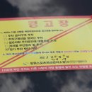 연합자동차유리