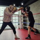 드래곤 복싱클럽 이미지