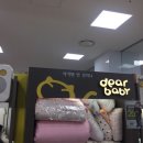 홈플러스디어베이비 네이버블로그