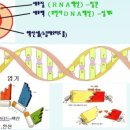 아이지바이오 - 포항시 남구 유강길9번길 62 | 아이지바이오
