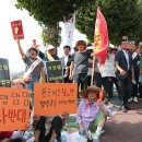 고반대 이미지