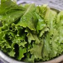 청임축산 이미지