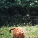 지구로운 출발 - 현실적인 제로웨이스트 방법과 환경워크숍 | 제로웨이스트보다 현실적인 ‘로우 웨이스트’ 실천법 소개