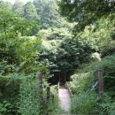 남도삼백리길(6코스) 이미지