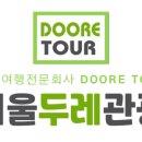 양지고속관광여행사 이미지