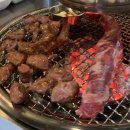 경성갈매기