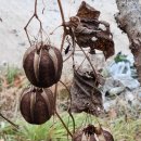 팔공산왕건길 4코스 이미지