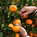 신희농장 이미지