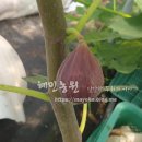 혜민농장 이미지