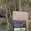 함평천지길 이미지