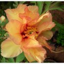 사랑합니다-희망 이미지