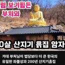 노루모TV