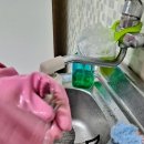 강화농장 이미지