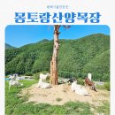 (주)동원운수 | 태백가볼만한곳 몽토랑산양목장 feat 인생 뷰맛집