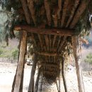 법흥1리 이미지