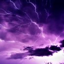 헤르시나 이미지