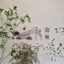 압록 | [곡성] 카페 압록 방문 후기☕️