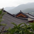 명천목장 이미지