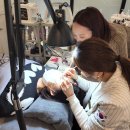 미용사자격증 이미지