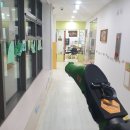 제주대학교병원어린이집 | 제주대학교병원어린이집 친환경 정기방역