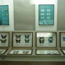 봉우공원 이미지