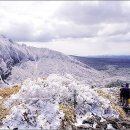 제주도 한라산 심설산행(2009. 2) 이미지