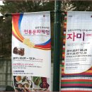 비밀요정