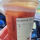 스타벅스 자몽 허니 에어로카노 후기🍊 디카페인으로 마셔본 솔직한 신메뉴 리뷰