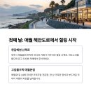 여름코스 이미지