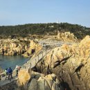 대왕암공원 이미지