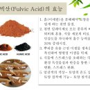 Fulvic Acid 펄빅산의 기능과 잇점 이미지