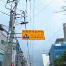 주정차단속-106 이미지