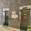 Nine Tea 1 PC 카페 | 인천 대형 카페 온더플로우 돌 전후 아기와 함께 주말 방문 후기 (수유실 있음)