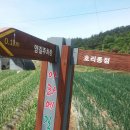 아라메길(4) 이미지