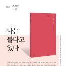 손석호 카카오 검색결과