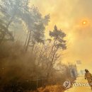 경북가스충전소 이미지