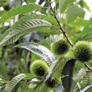 이존식농장 이미지