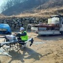 호두나무 이미지