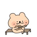 아꼬아 펫 살롱 이미지