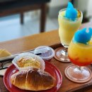 다려도이야기 | 제주여행㉔｜제주 3대 빵집 아라파파 북촌점 후기｜조천·함덕 오션뷰 카페 빵지순례