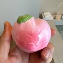 THE볼보모터스
